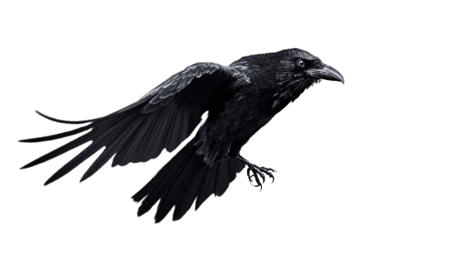 Crow Studio Logo